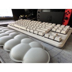 Palm Rest - Collection Aurora